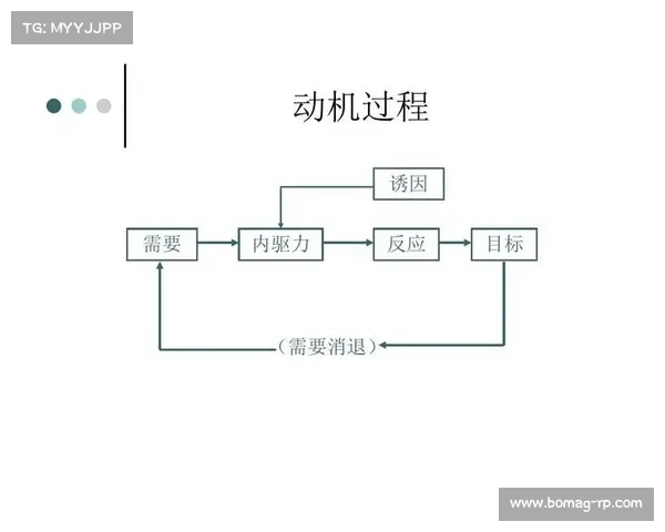 如何从战术与心理角度分析纳英戈兰的决策背后的动机与原因